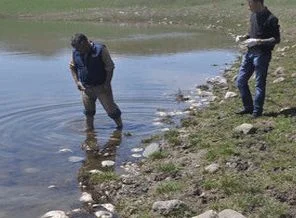 Muş'ta korkutan görüntü!