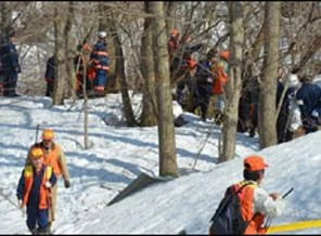 Parktan kaçan ayılar 2 kişiyi öldürdü