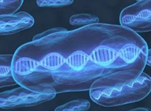 Sentetik DNA üretildi