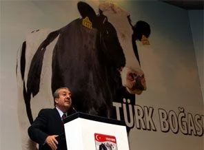 Soy kütüğü olan hayvan sayısı arttı
