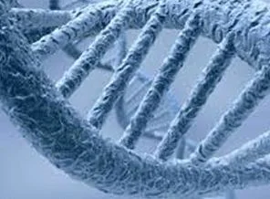 Türk DNA'sında kriz