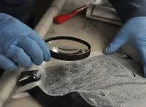 Türk polisinin başarısı