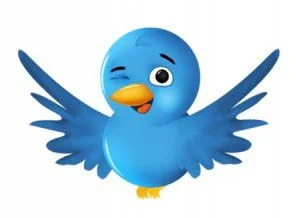 Türklerin attığı tweetlerin değeri!