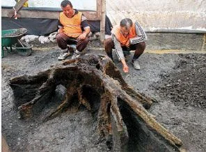 Yenikapı'yı kazdıkça ayak izi çıkıyor