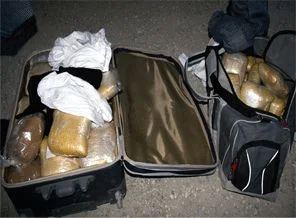 Yolcu bavulundan 53 kilogram uyuşturucu çıktı
