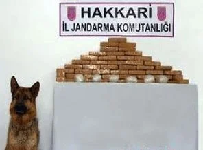 Yüksekova'da uyuşturucu operasyonu