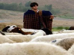 2 bin 500 lira maaşı duyan koştu