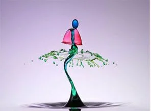 2011'in En İyi Fotoğrafçısı