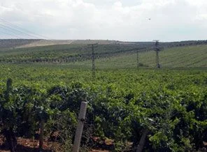 2B başvuruları başladı