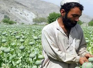 Afganistan'ın Afyon çılgınlığı!