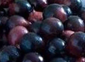 Amazonlar'dan gelen mucize