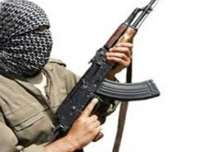 Barış ortamı olursa PKK'ye genel af gündeme gelebilir