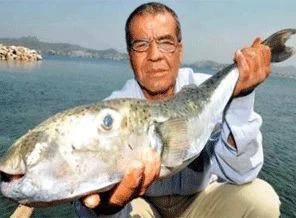 Bodrum'da balon balığı alarmı