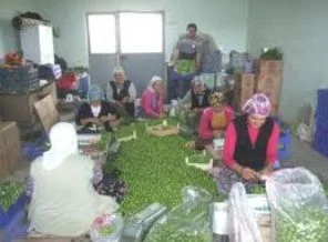 Bu beldede işsizlik yok