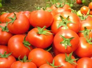 Bu gıdalar bizi güneşten koruyor