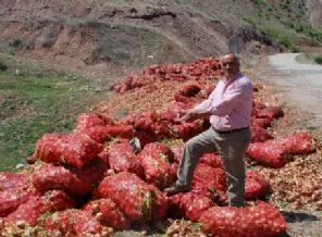 Çiftçiler soğanları dere ve yol kenarlarına döktü