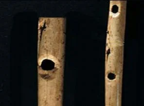 Dünyanın en eski müzik aleti