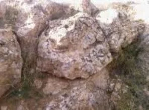 Düşen kaya can aldı