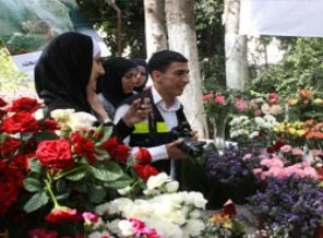 Filistin'de bir ilk: Gül ve çilek festivali
