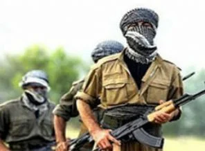 Iğdır'da PKK 10 kişiyi kaçırdı