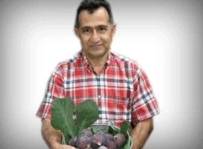 İnsanlar, organik gıdalara yöneldi