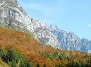 Kazayla belediye başkanı seçildi