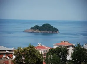 Kuş yumurtaları ve yavruları tehdit altında