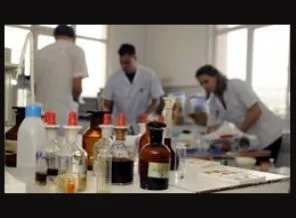 Ms hastalarına umut olacak çay