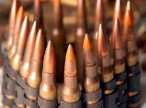 Muş'ta PKK'ya ait mühimmatlar bulundu
