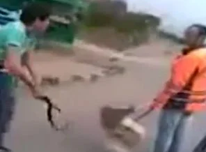 O videonun kahramanları bulundu