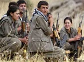 PKK Ak Parti ilçe başkanını kaçırdı