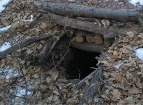 PKK sığınağı imha edildi