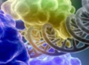 Protein, AIDS'e karşı silah olabilir