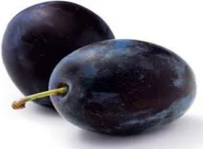 Sağlıklı bir yaşam için ,Çakal eriği