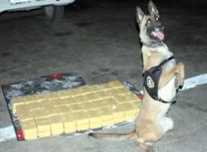Şırnak'ta 24 kilogram uyuşturucu ele geçirildi