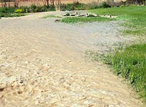 Sulama kanalına düşen 2 işçi öldü