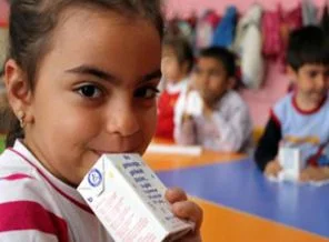 Sütlerde ilk tahlil sonuçları