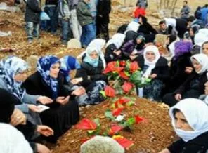 Uludere'de ifadesi alınan komutan yok