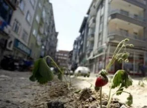 Uyanık esnaftan güldüren protesto