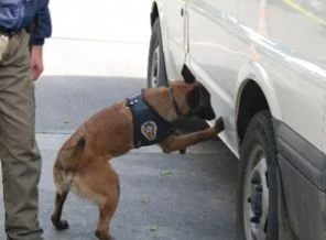 Uyuşturucu tacirlerinden şok yöntem