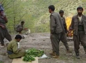 Yakalanan PKK'lıdan şok itiraf!