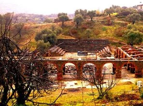 Yeni umut : Tiyatro medresesi