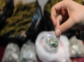 Zehir tacirlerine şafak baskını