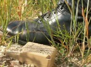 Amerika milyonlarca 'böcek'le ağ kuruyor
