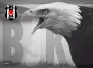 Beşiktaş'ta 2012 yılı bütçesi onaylandı