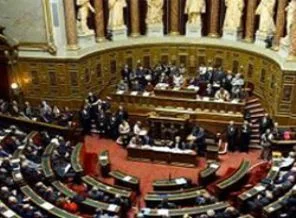 Fransa meclisi yeni başkanını seçecek