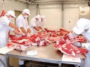 Hollanda'da 'helal kesim yasağı'