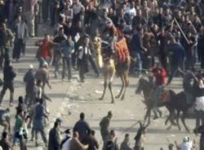 Kıpti - Müslüman çatışması çıkarılabilir