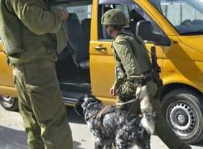 Köpek eğitiminde Filistinli kullanıyorlar