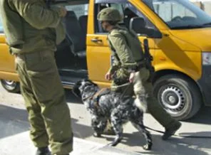 Köpek eğitiminde Filistinlileri kullanıyorlar